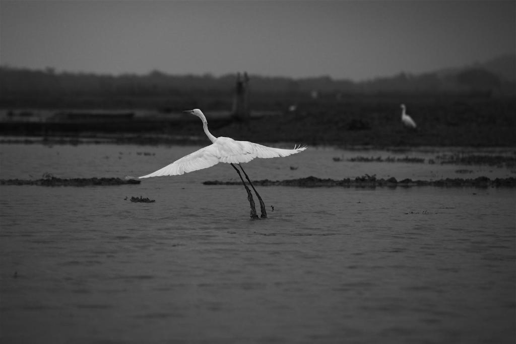ホテル スワラジ リゾーツ バラトプル エクステリア 写真
